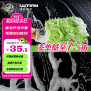 绿田（LUTIAN）洗车手套洗车擦玻璃洗车工具复合细纤维手套加大加厚汽车用品TRC