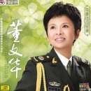 正版 董文华黑胶唱片 歌唱家璀璨时期的原声代表作董文华12寸LP中唱版本 留声机用黑胶片唱盘大碟片