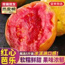 京地达广东红心芭乐番石榴软糯节日送礼净重5斤单果125g+源头直发包邮