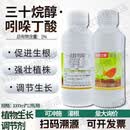 1%三十烷醇吲哚丁酸辣椒蔬菜果树促根生根壮苗农药调节剂提高产量 1000ml*12瓶/整箱