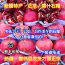 正宗新疆喀什石榴硬籽甜红特大伽师玉代力克石榴当季新鲜水果 10斤 特大 【单果400g左右 / 酸甜石榴