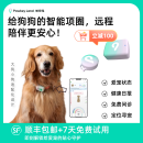 帕奇宠AI智能项圈狗狗版：健康监测+行为分析+精准定位 M号-狗用小宠版
