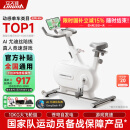 立久佳（lijiujia）自发电动感单车家用智能室内自行车健身器材 游戏竞速-追风MINI