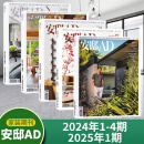 【现货包邮】AD安邸杂志2025年春季刊吴彦祖/2024年1-4期/5月增刊/全年订阅 家居廊时尚家居建筑设计家装实用畅销期刊 【新5期】25年1期+24年1-4期