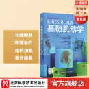 基础肌动学 : 第4版（新版） 运动康复 物理治疗 北京科学技术 基础肌动学 : 第4版（新版）