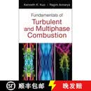 【3-4周达】精装 Fundamentals Of Turbulent And Multi-Phase Combustion [Wiley机械工程]