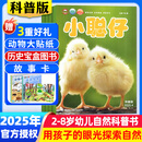 小聪仔科普版/幼儿版/启蒙版杂志2025年1-12月 【半年/全年订阅/2024年/2023/2022全年珍藏/幼儿版可选】2~8岁幼儿兴趣智力培养儿童科普过期刊杂志K 【全年订阅送礼品】科普版25年