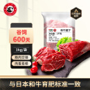 龍江和牛 国产和牛原切牛腱子2斤 生鲜牛肉 酱卤炖煮食材