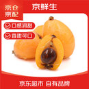 京鲜生 四川五星枇杷 1.5斤装 单果20g+  生鲜水果