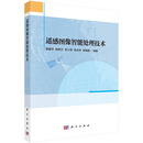 遥感图像智能处理技术