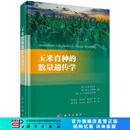 玉米育种的数量遗传学/陈泽辉