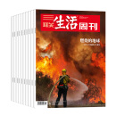 【订阅 2025年全年 共52期】三联生活周刊旗舰店 三联生活周刊2025年全年杂志订阅 （月寄）共52期 包邮每月快递发刊一次 杂志订阅 三联生活周刊2025年4月-26年3月（月寄）