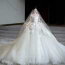 红妆饰佳婚纱新娘2026新款法式抹胸简约质感超仙出门纱小个子仪式迎宾轻纱 米白拖尾款 M