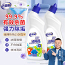 老管家洁厕灵液马桶清洁除菌卫生间强力除垢除臭去异味家用清香型 除垢清香型500ml*2瓶