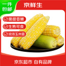 京鲜生云南水果玉米 净重5斤单果250g+ 甜玉米棒新鲜蔬菜应季 源头直发