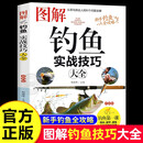 图解钓鱼实战技巧 图解垂钓知识图鉴新手基础与实战 实用指南常见海鱼钓法大全