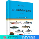 [按需印刷]珠江水系鱼类原色图集(广东段)/李新辉，陈方灿，梁沛文 科学出版社