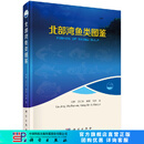 [按需印刷]北部湾鱼类图鉴 科学出版社