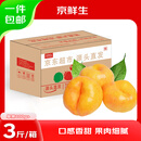 京鲜生 山东黄金油蟠桃 净重3斤 单果100g+  新鲜水果 源头直发 包邮