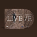 祁连音画-卢耀波原创作品音乐会live CD