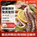 1号会员店（One's Member）甄选鱿鱼切段 鲜活捕捞 免洗免切 1.2kg
