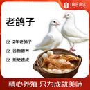都丰年老鸽子700g(共2只）老鸽子煲汤食材冷冻生鲜鸽子滋补礼品