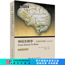 神经生物学：从神经元到脑（原书第5版） [From Neuron to Brain] 科学出版社
