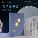 偶遇：在漫游中感知艺术 巫鸿 著 12组案例 艺术思考 谈论艺术 巫鸿与陆智昌倾力合作 纸书的另一种阅读方式 理想国官方正品