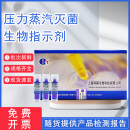 上海鸿雍115℃/121℃压力蒸汽灭菌生物指示剂ATCC7953 开票现货 121°C（50支/盒） 现货