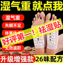 同仁堂老北京艾草足贴祛湿排毒湿气排体内湿寒艾元气茯苓八珍去湿气暖 一盒装50贴【轻度湿气】