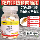 护花匠70%噻虫嗪胶囊速溶小白药植物杀虫剂盆栽绿植花卉杀虫剂自营40粒