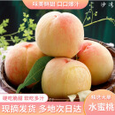 京地达水蜜桃江苏桃子应季水果净重4斤单果200g+新鲜白桃源头直发包邮