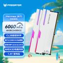 宏碁掠夺者（PREDATOR）48G(24G×2)套装 DDR5 6000频率 台式机内存条 Hermes冰刃系列 RGB灯条(C28) 白色 AI电脑配件