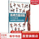 【3册】肌肉力量训练图谱+拉伸训练彩色图谱+无器械力量训练彩色图谱 运动健身健美训练书籍  新华书店正版包邮 肌肉力量训练彩色图谱
