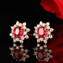 奢莱斯勒奢侈首饰品【七夕情人节礼物】宝石耳钉女新款百搭高端礼品送老婆 0.5克拉 顺丰包邮【高端礼盒装】