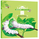 昆虫绘：纺织巧匠-蚕 中国版的法布尔昆虫记改编精细手绘本 3-6岁