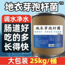 TM地衣芽孢杆菌调水净水益生菌 工业红糖3吨