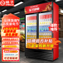 扬子（YANGZI）展示柜冷藏大容量饮料啤酒保鲜柜立式冰柜商用超市玻璃门上下机直风冷 双门下机丨【店长推荐】【直冷】 【铜管制冷】【东贝压缩机】