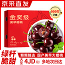 静羽车厘子樱桃【顺丰/JD-多地次日达】大连美早大樱桃水果礼物品盒 3斤(净重)  精品礼盒【高复购】 超级巨无霸4J 单果32-34mm