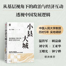 小县大城 基层视角下的中国政治与经济互动 透过县域 读懂中国 中国人民大学周立 罗建章著 县域经济 县域治理 基层治理 地方政府 政策制定 小县城 大中国