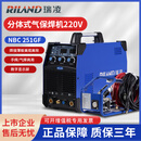 瑞凌二保焊机分体250/300/350/500工业款二氧化碳保护焊机 NBC-251GF（3米枪+10米连接线）220v