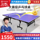双鱼（DOUBLE FISH）专业乒乓球桌标准比赛训练室内家用训练球桌可折叠式乒乓球台案子 休闲款2028S【含球拍网架球】