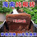 椰砖营养土通用型椰土壤椰糠粗椰壳种花养花种菜专用种植大块耶砖 买5送3【可泡发64L】
