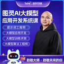 新图灵AI大模型开发系统课/提示工程师/大模型应用开发/大模型训练测试 尾款