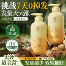 儒意（RUYI）防脱育发洗发水500g 生姜侧柏叶固发控油去屑膏露男女士金榜第1名