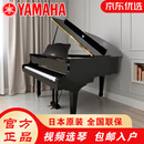 【老师推荐】雅马哈（YAMAHA）三角二手钢琴日本原装进口G1/G2/G3/C1/C2/C3专业演奏三角演奏真钢琴 雅马哈G2（长度168 高端家用） 全国联保+10年质保+官方正品