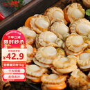 初鲜大号冷冻带黄扇贝肉2斤约80-120颗烧烤火锅食材海鲜水产端午聚餐