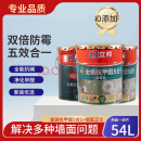 立邦竹炭金装五合一抗甲醛家用内墙乳胶漆环保净味抗甲醛防潮防霉白色 金装竹炭抗甲醛套装家用（54升） 18L（白色）
