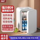 SAST迷你小冰箱mini冷冻冷藏车载家用宿舍母乳办公室学生小型冰柜 爵士白标配款 家用 8L