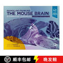 预订 帕克诺斯和富兰克林的小鼠脑立体定位坐标图谱 Paxinos and Franklin's the Mouse Brain in Stereotaxic Coordinates, Compact~